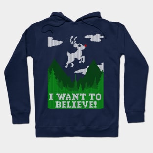 I WANT TO BELIEVE! Ugly Sweater Hoodie